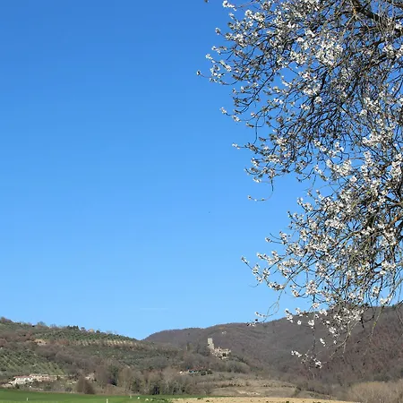 Fattoria Di Rigone فندق بيرودجا