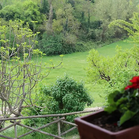 Fattoria Di Rigone بيرودجا