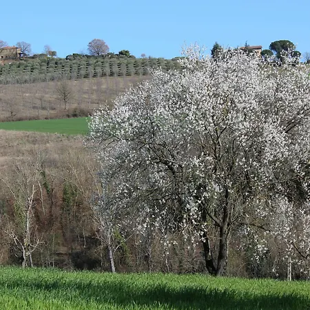 فندق Fattoria Di Rigone *