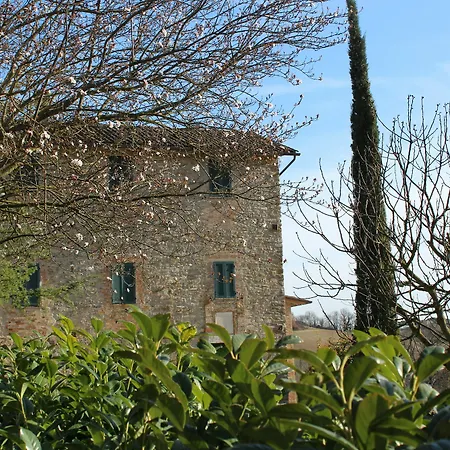 Fattoria Di Rigone