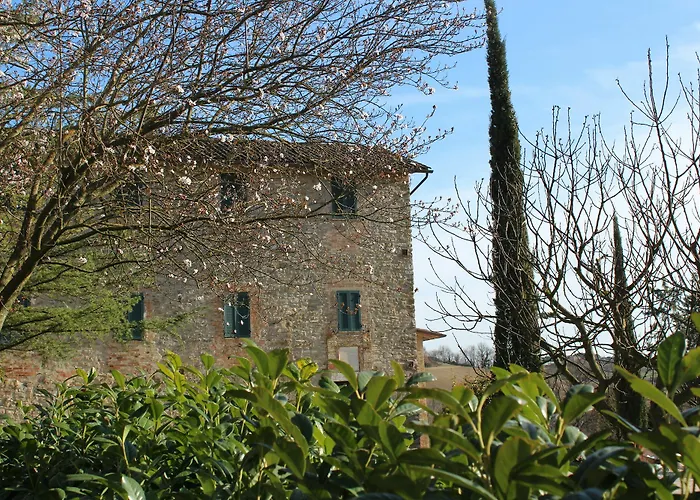 Fattoria Di Rigone