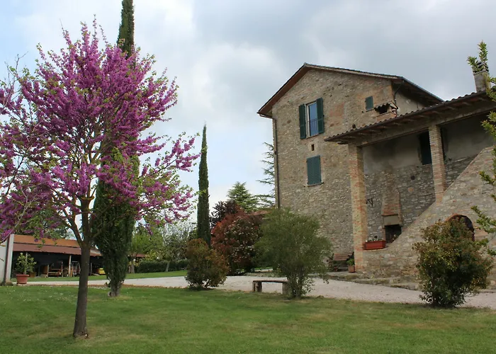 Hotel Fattoria Di Rigone